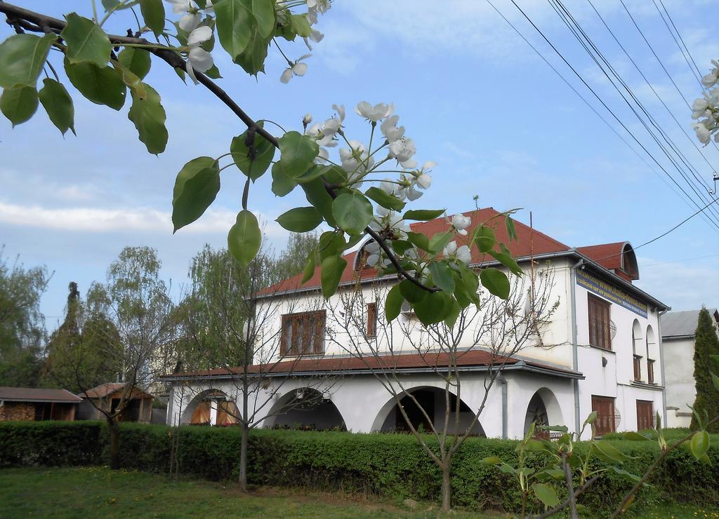 Guest House Marketti Vinogradov Exterior foto