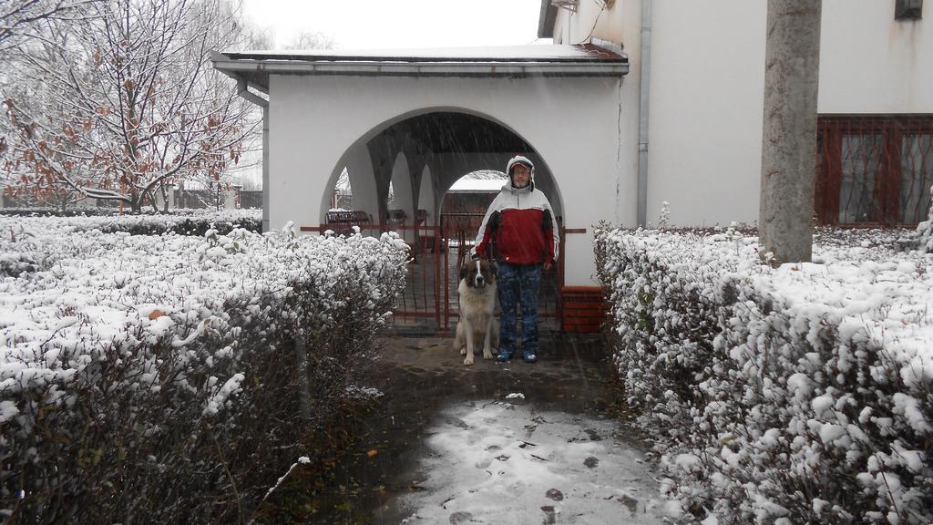 Guest House Marketti Vinogradov Exterior foto