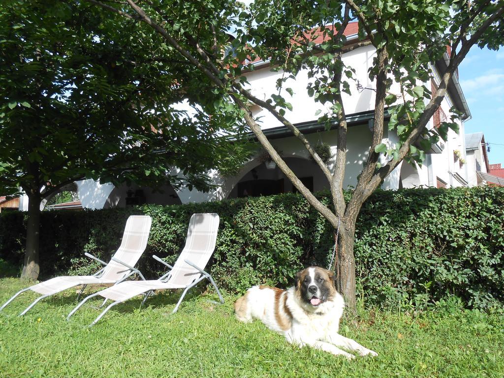 Guest House Marketti Vinogradov Exterior foto